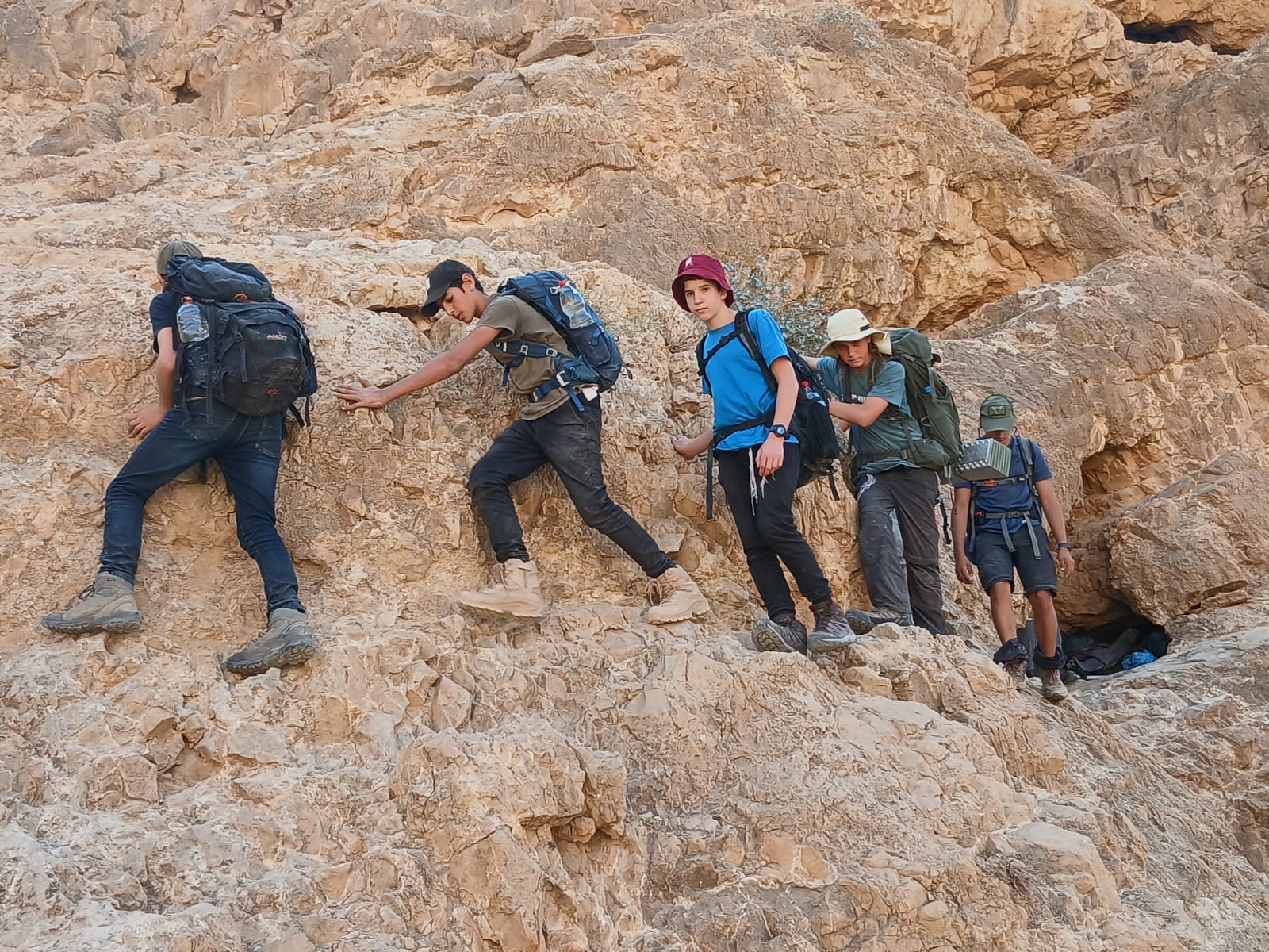 תמונה נוספת