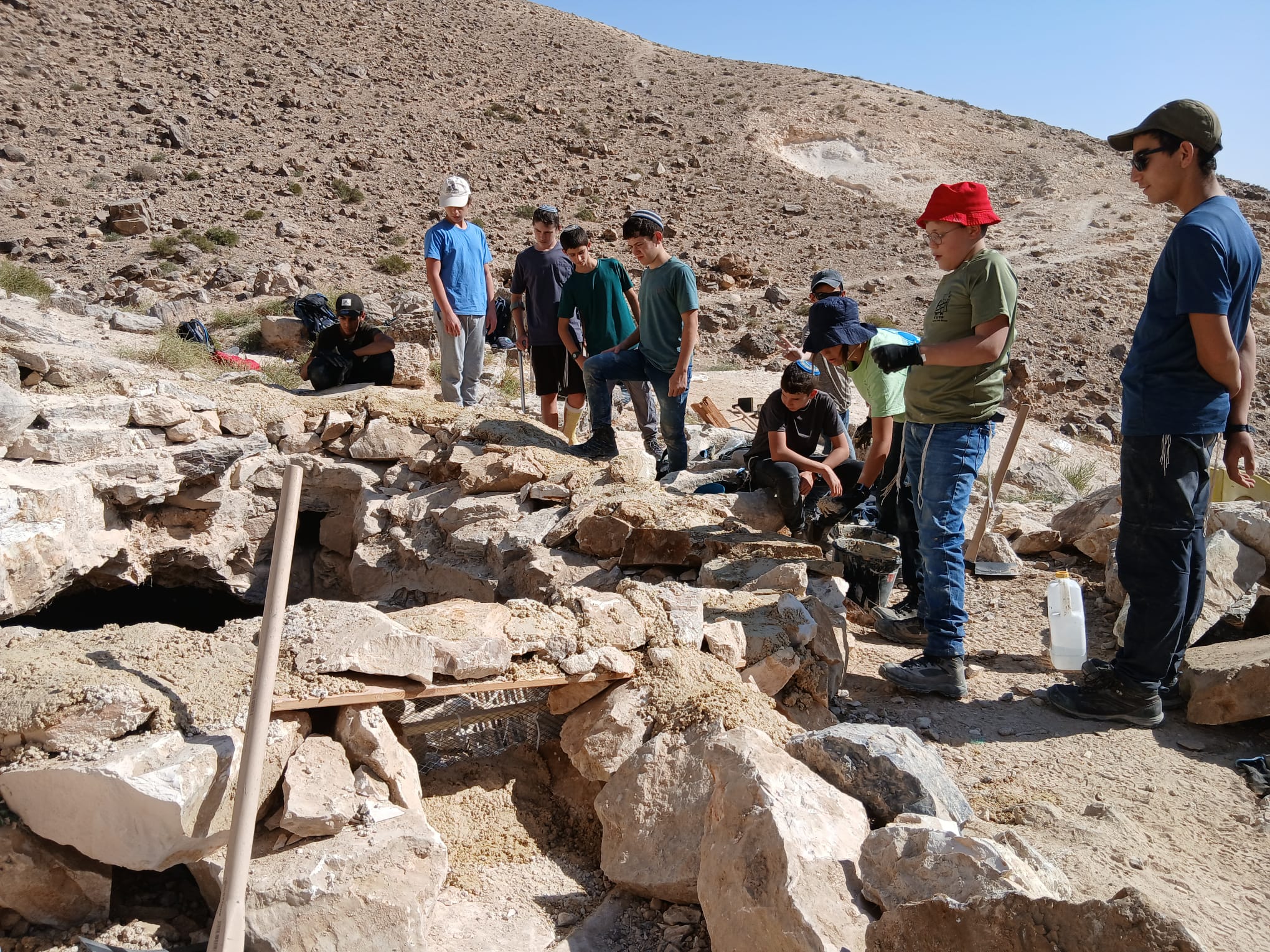 תמונה נוספת